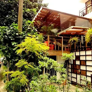 casa-kiwi-hostel.colombiamedellinhotels.com/